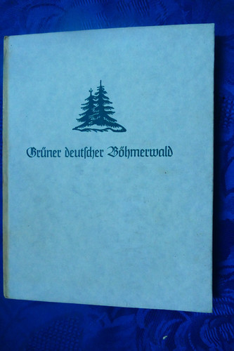 Altes buch grüner deutscher - buch,,