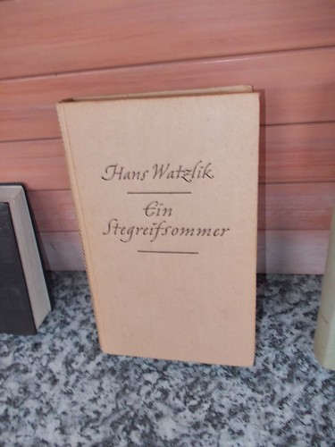 Ein stegreifsommer roman - ein,